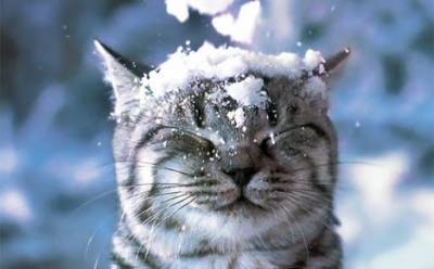 17 января 2021: какой сегодня праздник, традиции, приметы, именины - bykvu.com - США - Украина - Конго
