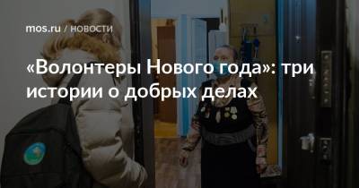 «Волонтеры Нового года»: три истории о добрых делах - mos.ru - Москва - Московская обл.