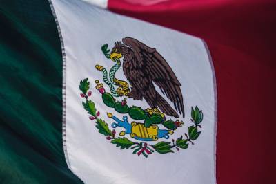 Женщины создали ополчение против наркокартеля в Мексике - news.vse42.ru - Mexico