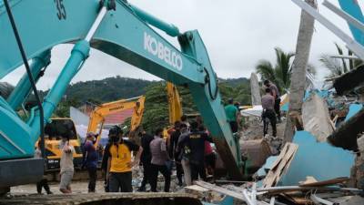 Джоко Видодо - Количество погибших во время землетрясения в Индонезии достигло 56 человек - newinform.com - Индонезия