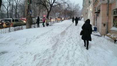 Евгений Тишковец - В Москве с начала января выпало 133% месячной нормы осадков - gazeta.ru - Москва