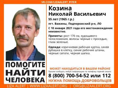 В Подпорожском районе без вести пропал 55-летний мужчина - ivbg.ru - Ленобласть