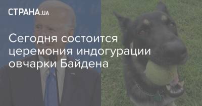 Дональд Трамп - Сегодня состоится церемония индогурации овчарки Байдена - strana.ua - США