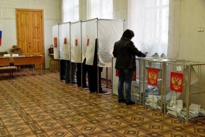 На выборах в Нерехтском районе Костромской области явка составила более 8 процентов - kostroma.mk.ru - Костромская обл.