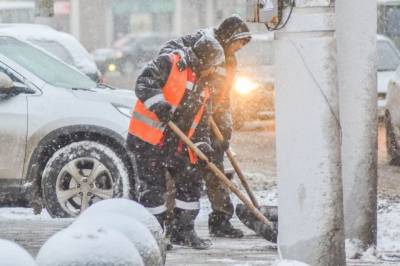 Россияне из-за снежной зимы стали чаще покупать лопаты и снегоочистители - aif.ru