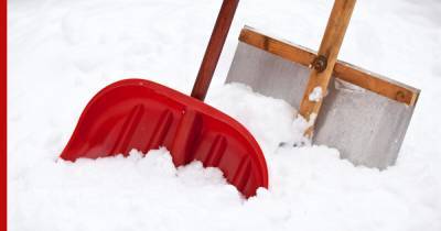 Россиянам объяснили, какую лопату для уборки снега лучше выбрать - profile.ru