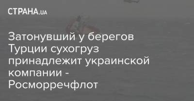 Затонувший у берегов Турции сухогруз принадлежит украинской компании - Росморречфлот - strana.ua - Грузия - Турция - Болгария - Бургас - Поти