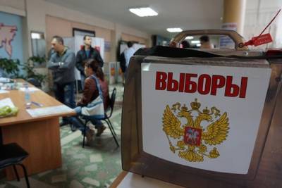 Из-за пандемии коронавируса многие нерехтчане голосовали досрочно - kostroma.mk.ru