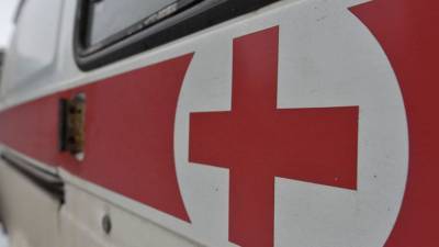 ДТП с грузовиком под Воронежем привело к гибели двух водителей - nation-news.ru - Башкирия - Воронеж - Воронежская обл. - Белгород - Павловск
