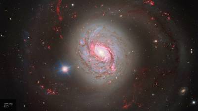 Астрономы обнаружили самый древний квазар во Вселенной - newinform.com - шт. Аризона