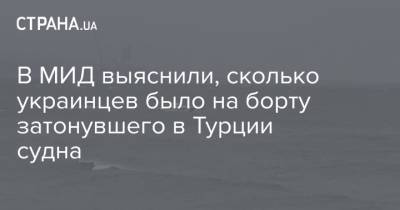 В МИД выяснили, сколько украинцев было на борту затонувшего в Турции судна - strana.ua - Грузия - Турция - Болгария - Бургас - Палау - Поти