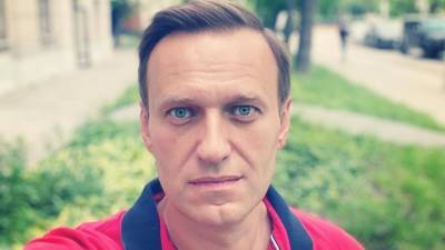 Алексей Навальный - Илья Ремесло - Ремесло спрогнозировал незаконные митинги ФБК из-за задержания Навального - newinform.com