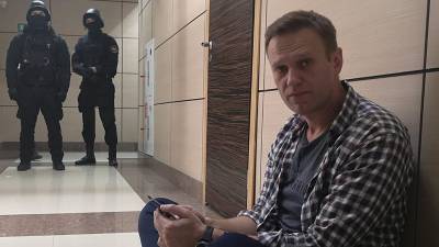 Алексей Навальный - Виталий Серуканов - ФБК не смог показать свои "уличные ресурсы" по прилете Навального в Россию - politros.com - Москва