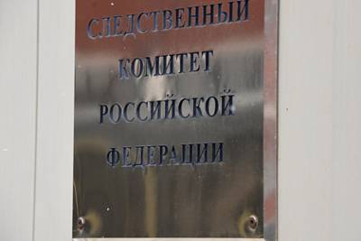 Елена Леоненко - В СК захотели ужесточить уголовную ответственность для физлиц - lenta.ru