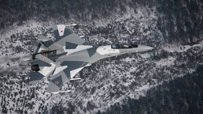 Изящные маневры Су-35 дважды испугали американских летчиков - riafan.ru - Москва - США - Вашингтон
