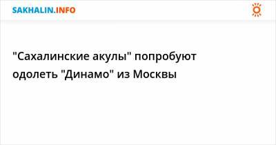 "Сахалинские акулы" попробуют одолеть "Динамо" из Москвы - sakhalin.info - Москва - Красногорск