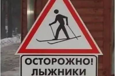 В Костромской области произошло ДТП: ВАЗ-2110 сбил пожилую лыжницу-костромичку - kostroma.mk.ru - Костромская обл.