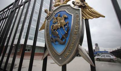 В Следкоме предлагают ужесточить уголовную ответственность для физлиц - newizv.ru - Илимск