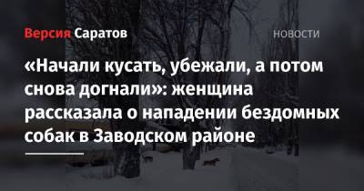 «Начали кусать, убежали, а потом снова догнали»: женщина рассказала о нападении бездомных собак в Заводском районе - nversia.ru