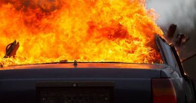 Ford Mondeo - В Калининградской области ночью сгорели три машины - klops.ru - Калининградская обл.