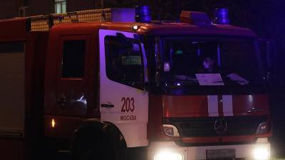 Один человек погиб в результате пожара в московской квартире - iz.ru - Москва - Ачинск