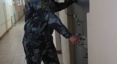 В Чувашии мужчина пять раз сел пьяным за руль и отправился в колонию - pg21.ru - респ. Чувашия - Цивильск