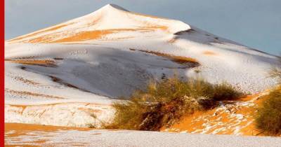 В Сахаре в шестой раз за 40 лет пошел снег: фото - profile.ru - Алжир