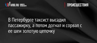 В Петербурге таксист высадил пассажирку, а потом догнал и сорвал с ее шеи золотую цепочку - ivbg.ru - Санкт-Петербург - Петербург