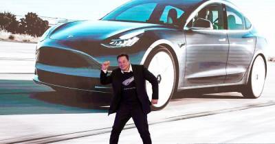 Илон Маск - Бритни Спирс - Илон Маск - Сестра Бритни Спирс обвинила Илона Маска и Tesla в гибели своих котов - focus.ua