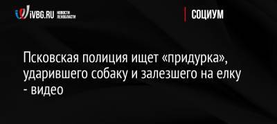 Псковская полиция ищет «придурка», ударившего собаку и залезшего на елку — видео - ivbg.ru - Россия - Псковская обл. - Псков