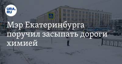 Алексей Орлов - Мэр Екатеринбурга поручил засыпать дороги химией - ura.news - Екатеринбург