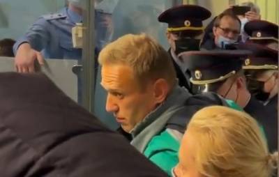 Алексей Навальный - Скандальное возвращение - interfax-russia.ru - Москва