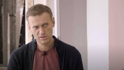 Алексей Навальный - Сергей Лавров - Мария Базарева - Лавров заявил, что задержание Навального относится к компетенции правоохранителей - nation-news.ru