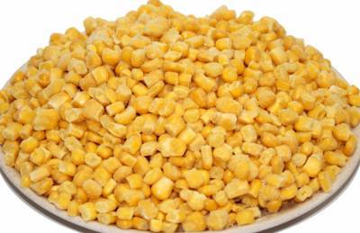 Словаки планируют начать в Украине производство сладкой кукурузы - agroportal.ua - Испания - Словакия