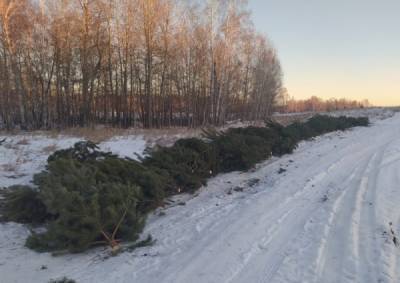 В Тугулымском лесничестве незаконно вырубили свыше 2000 кубометров древесины - nakanune.ru