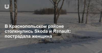 В Краснопольском районе столкнулись Skoda и Renault: пострадала женщина - news.tut.by