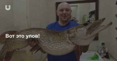 Таких рыбин мы давно не видели! Смотрите, какую гигантскую щуку уже в этом году поймал гродненец - news.tut.by