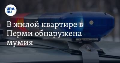 В жилой квартире в Перми обнаружена мумия - ura.news - Пермь