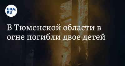 В Тюменской области в огне погибли двое детей - ura.news - Тюменская обл. - район Тюменский