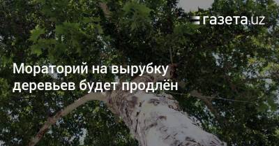 Мораторий на вырубку деревьев будет продлён - gazeta.uz - Узбекистан