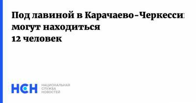 Под лавиной в Карачаево-Черкессии могут находиться 12 человек - nsn.fm - респ. Карачаево-Черкесия - Домбай