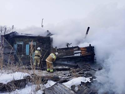 В Курганской области на пожарах снова погибли люди. СУ СКР начало проверку - znak.com - Курганская обл. - район Шадринский - район Щучанский