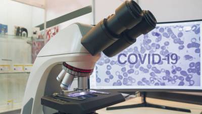 «Вектор»: выявленные 18 мутаций COVID-19 у пациентки cтал единичным случаем в РФ - gazeta.ru