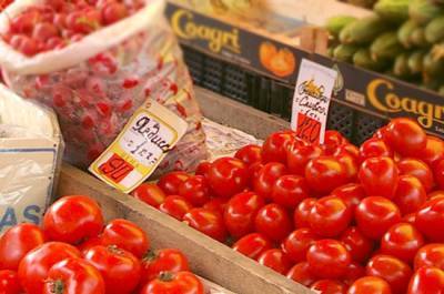 Россельхознадзор разрешил ввоз томатов и перца с одного предприятия Казахстана - pnp.ru - Павлодарская обл.