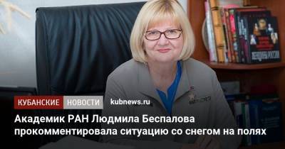 Академик РАН Людмила Беспалова прокомментировала ситуацию со снегом на полях - kubnews.ru