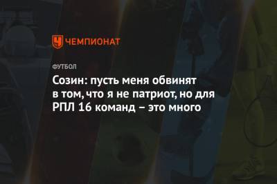 Андрей Созин - Максим Пахомов - Созин: пусть меня обвинят в том, что я не патриот, но для РПЛ 16 команд – это много - championat.com