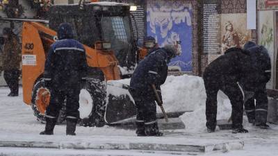 Петр Бирюков - В Москве убрали с улиц свыше одного млн кубометров снега - russian.rt.com - Москва - Московская обл.