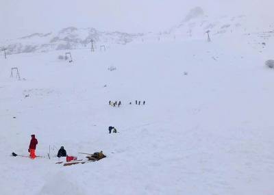 12 людей удалось спасти из-под снега после схода лавины на Домбае – очевидец - m24.ru - Москва - респ. Карачаево-Черкесия