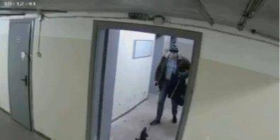 Начато уголовное производство. В Киеве мужчина избил собаку, а потом выбросил ее на улицу — видео - nv.ua - Киев - район Шевченковский