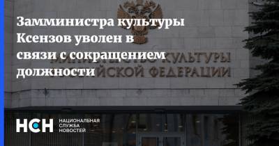 Михаил Мишустин - Замминистра культуры Ксензов уволен в связи с сокращением должности - nsn.fm